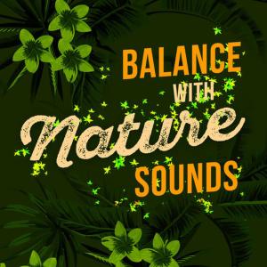 ดาวน์โหลดและฟังเพลง Birds Above the Brook พร้อมเนื้อเพลงจาก Meditate to Sounds of Nature