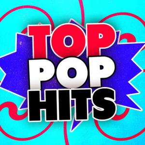 Top 40 DJ's的專輯Top Pop Hits