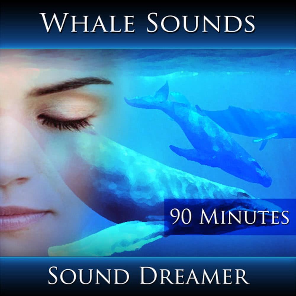 Whale Sounds - 90 Minutes