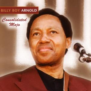 ดาวน์โหลดและฟังเพลง I Ain't Got You พร้อมเนื้อเพลงจาก Billy Boy Arnold