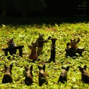 收聽Risk Factor的Out Of Order歌詞歌曲