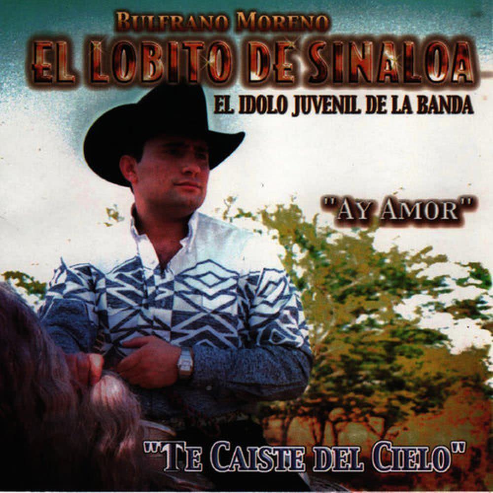El Borrador