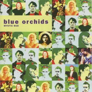 ดาวน์โหลดและฟังเพลง Black Pig พร้อมเนื้อเพลงจาก Blue Orchids