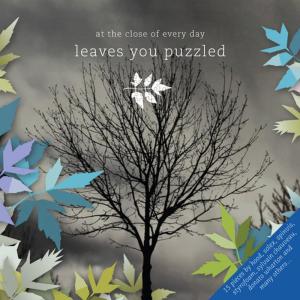 อัลบัม Leaves you puzzled ศิลปิน At the close of every day