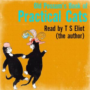 ดาวน์โหลดและฟังเพลง Macavity: The Mystery Cat พร้อมเนื้อเพลงจาก T. S. Eliot