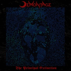 ดาวน์โหลดและฟังเพลง The Principal Extinction พร้อมเนื้อเพลงจาก Demontage