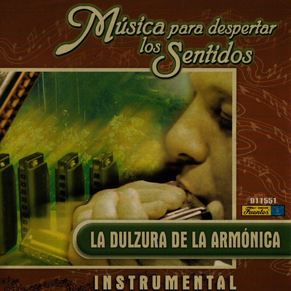 Siempre en Mi Mente(Instrumental) (纯音乐)