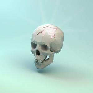 Album Flips and Flops, Drips and Drops from Electric Mantis