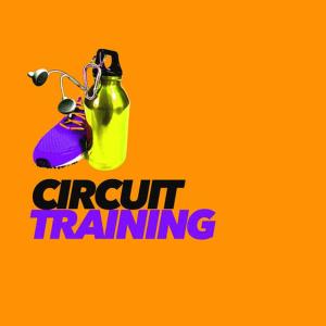 Hard Gym Hits的專輯Circuit Training