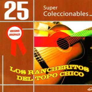 收聽Los Rancheritos Del Topo Chico的Imposible Olvidarte歌詞歌曲