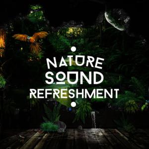 ดาวน์โหลดและฟังเพลง Evening Birds พร้อมเนื้อเพลงจาก Bruits naturels