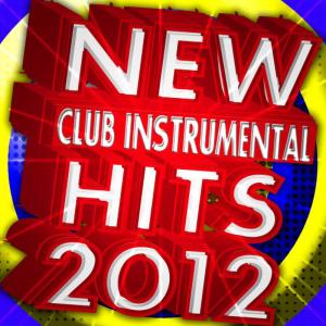 收聽Future Club DJs的Bass Down Low (Instrumental Version)歌詞歌曲