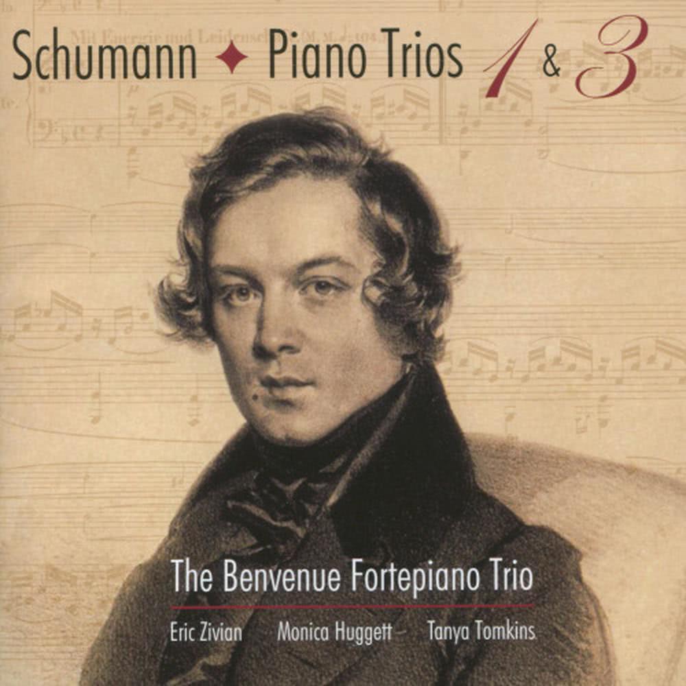 Trio No. 1 in D Minor, Op. 63: IV. Mit Feuer