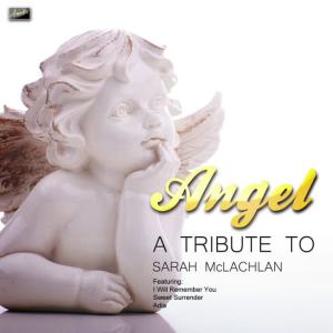 收聽Ameritz Tribute Club的Angel歌詞歌曲