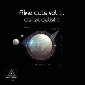 Dengarkan The Funk Overdose lagu dari Sishi Rosch dengan lirik