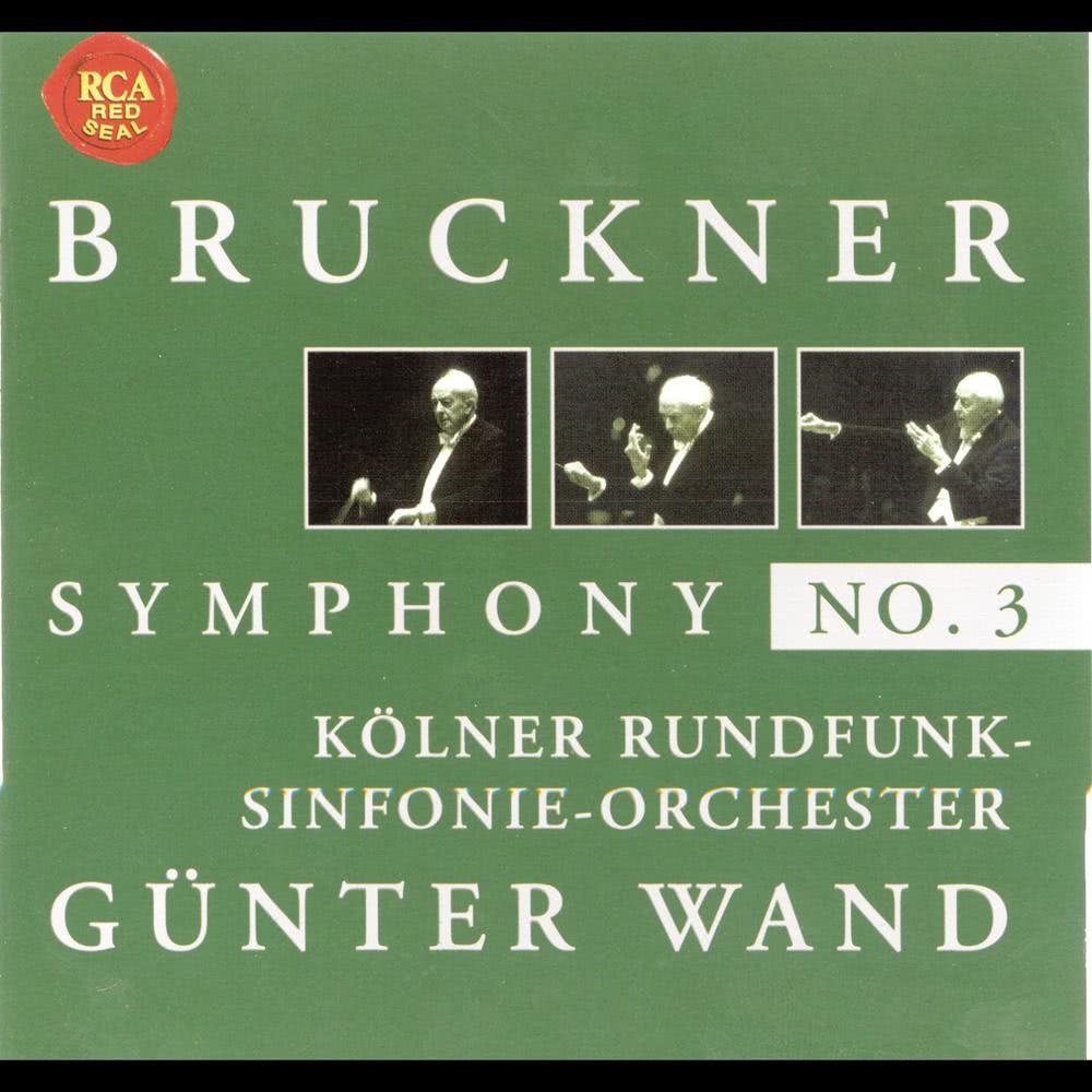 Symphony No. 3 in D minor (3. Version 1889): Allegro