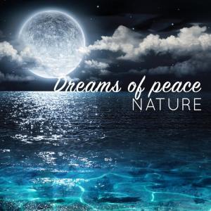 ดาวน์โหลดและฟังเพลง Lake Life พร้อมเนื้อเพลงจาก Dreams of Nature
