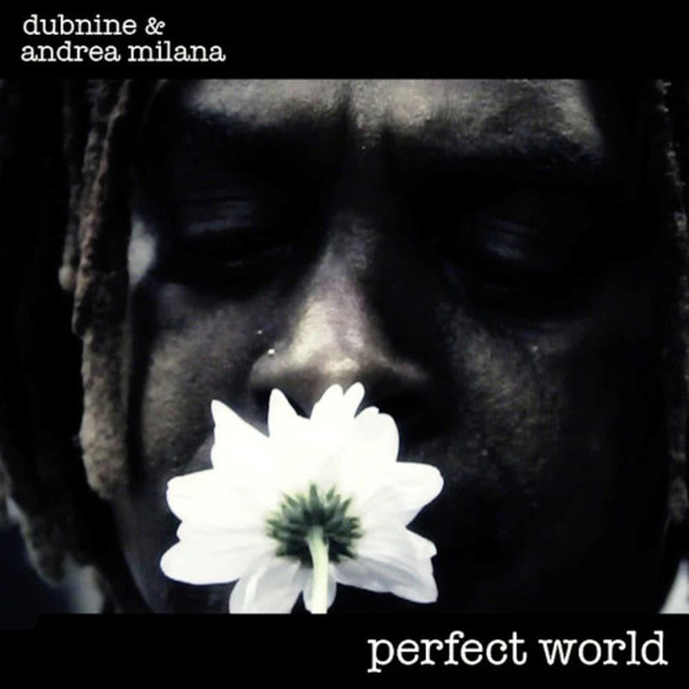Perfect World (BLP Remix)