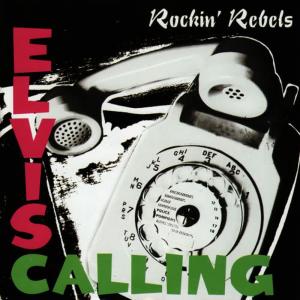 ดาวน์โหลดและฟังเพลง Guitar Man พร้อมเนื้อเพลงจาก The Rockin' Rebels