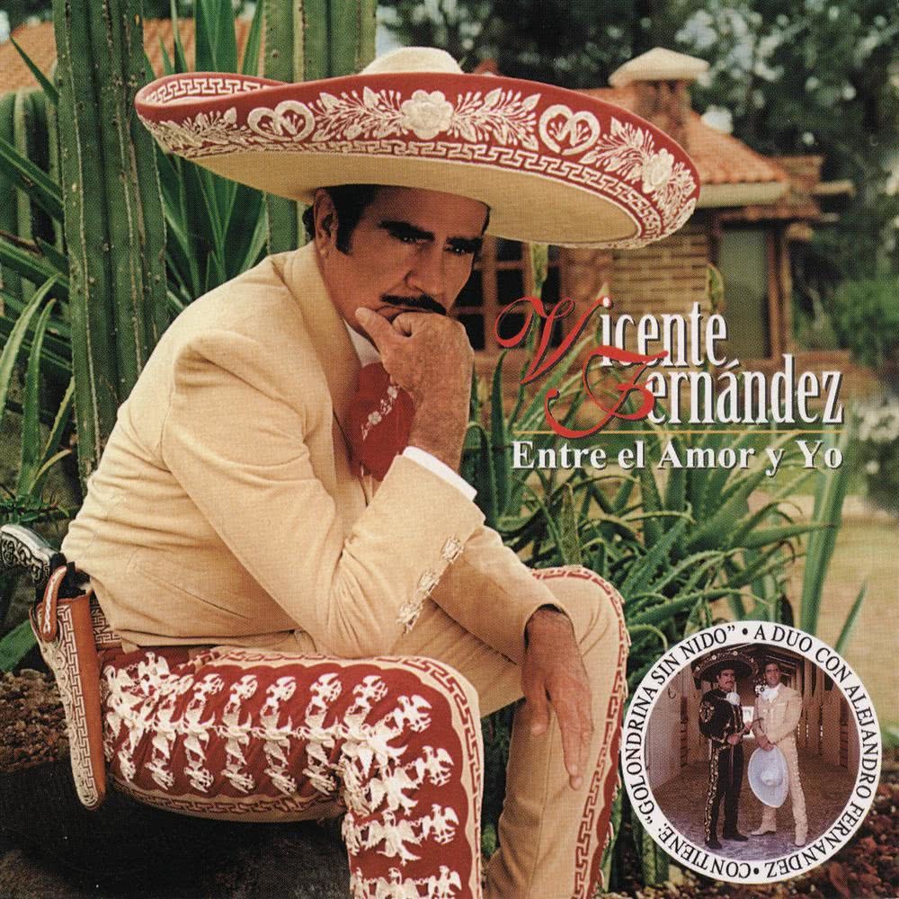 Golondrina Sin Nida (A Duo Con Alejandro Fernandez) (Album Version)