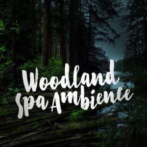收聽Forest Sounds Relaxing Spa Music Singing Birds的Trickle Through the Forest歌詞歌曲
