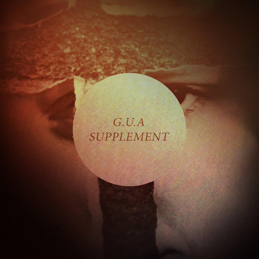 Supplement(Zander One Sleepy Mix)