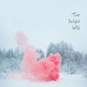 收聽The Bright Wild的Hello Again歌詞歌曲