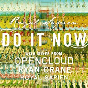 ดาวน์โหลดและฟังเพลง Do It Now (Original Mix) พร้อมเนื้อเพลงจาก Royal Sapien