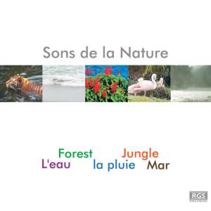 收聽Natural Sound的Bosque歌詞歌曲