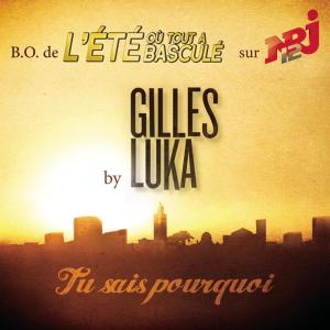 ดาวน์โหลดและฟังเพลง Tu sais pourquoi (B.O. L'été où tout a basculé) พร้อมเนื้อเพลงจาก Gilles Luka