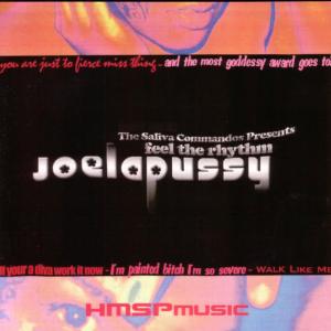 Joelapussy的專輯Feel The Rhythm