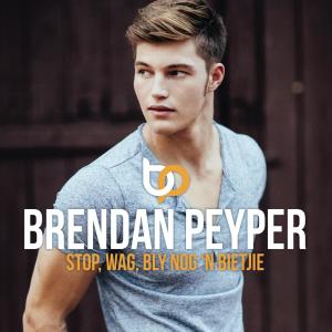 收聽Brendan Peyper的Gebreektehartsvallei歌詞歌曲