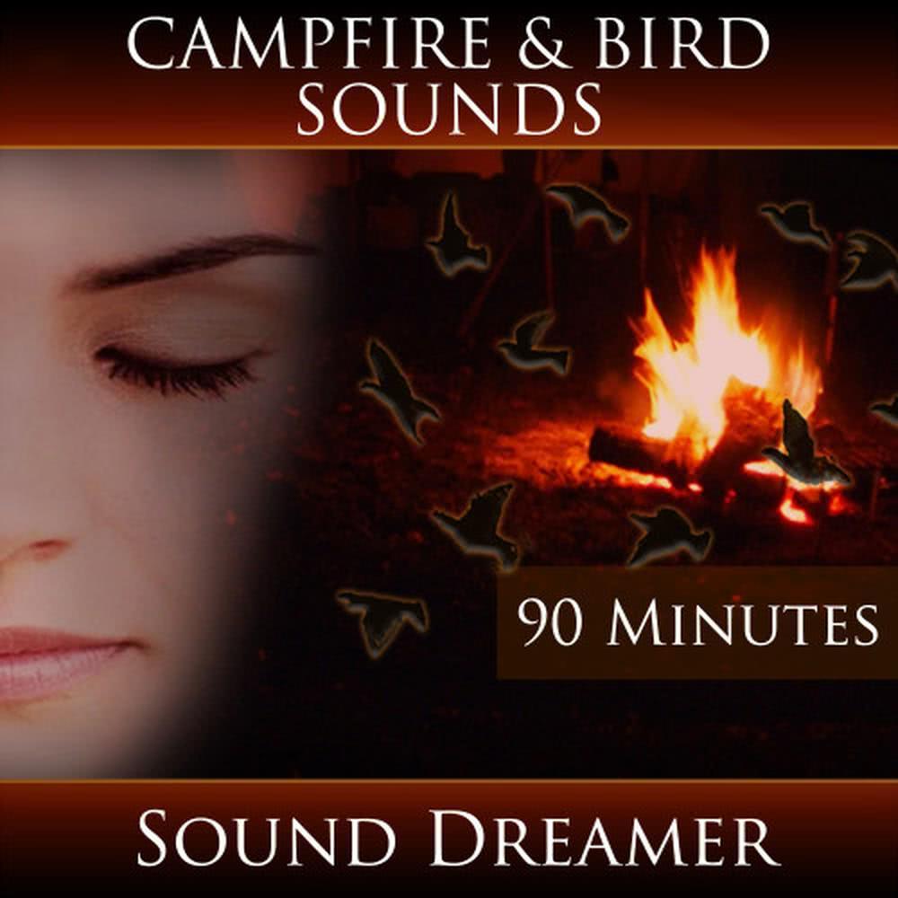 Campfire and Bird Sounds - 90 Minutes