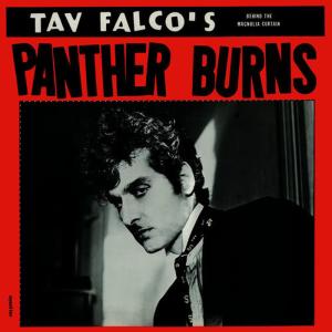 Tav Falco & Panther Burns的專輯Behind the Magnolia Curtain