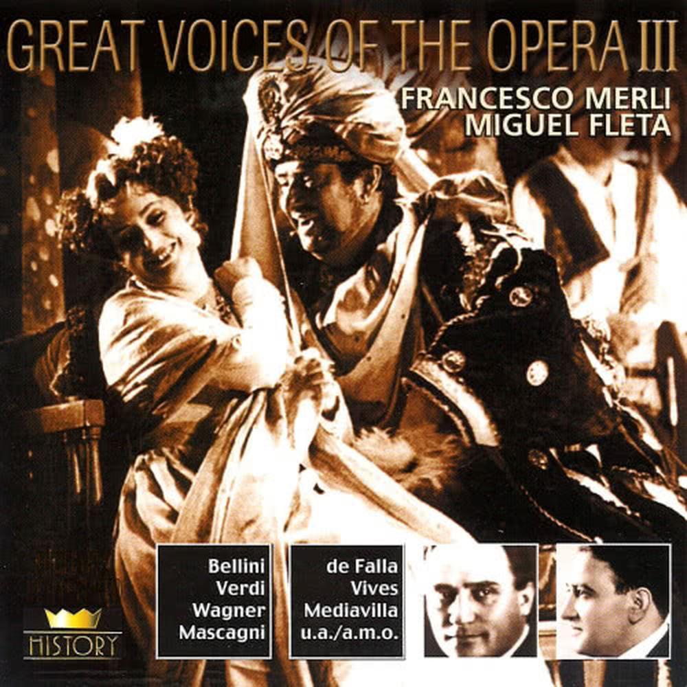 Aida: Se quel guerrier o fossi…Celeste Aida