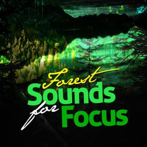 收聽Natural Forest Sounds的Bottom of the Garden歌詞歌曲