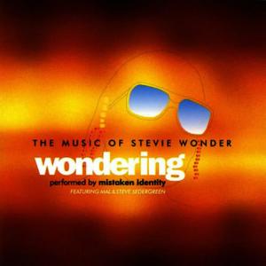 Mistaken Identity的專輯Wondering