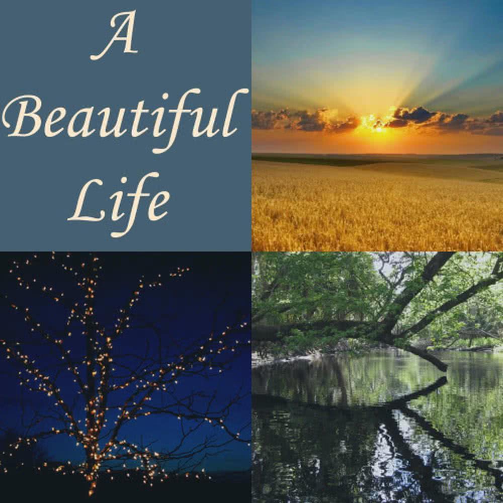 A Beautiful Life