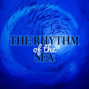 ดาวน์โหลดและฟังเพลง Gentle Lapping Sea Shore พร้อมเนื้อเพลงจาก Yoga Ocean Sounds