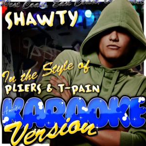 收聽Ameritz - Karaoke的Shawty (In the Style of Pliers & T-Pain) (Karaoke Version)歌詞歌曲