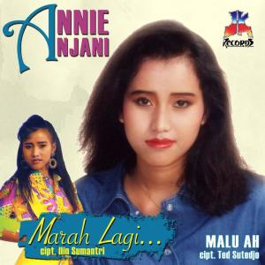 Dengarkan Cubit Asmara lagu dari Annie Anjani dengan lirik