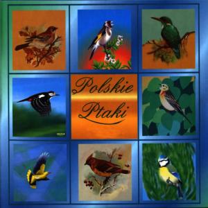 ดาวน์โหลดและฟังเพลง Blackbird changing "the song " great tit, wood warbler in the background, robin(Kos i zmieniająca "piosenki" bogatka, w tle świstunka leśna, pojawia się rudzik) พร้อมเนื้อเพลงจาก Polskie Ptaki