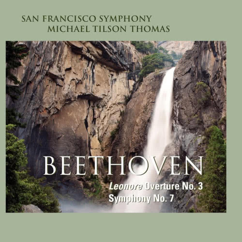 Symphony No. 7: IV. Allegro con brio