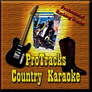 ดาวน์โหลดและฟังเพลง Picture(In the Style of Kid Rock Feat. Sheryl Crow (Karaoke Version Teaching Vocal)) พร้อมเนื้อเพลงจาก ProTracks Karaoke