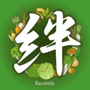 收聽Rayneeds的Kizuna歌詞歌曲