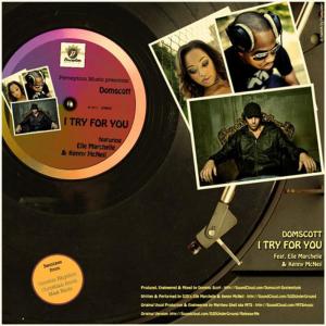 ดาวน์โหลดและฟังเพลง I Try For You (Christian Scott Mix) พร้อมเนื้อเพลงจาก Domscott