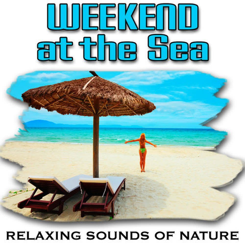 Restful Seaside and Steady Waves Promote Deep Sleep