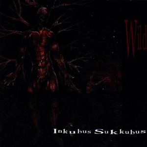 ดาวน์โหลดและฟังเพลง Wild พร้อมเนื้อเพลงจาก Inkubus Sukkubus