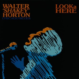 收聽Walter "Shakey" Horton的Worried, Worried歌詞歌曲