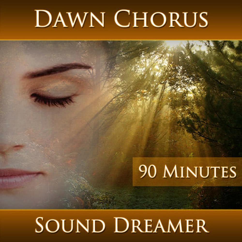 Dawn Chorus - 90 Minutes